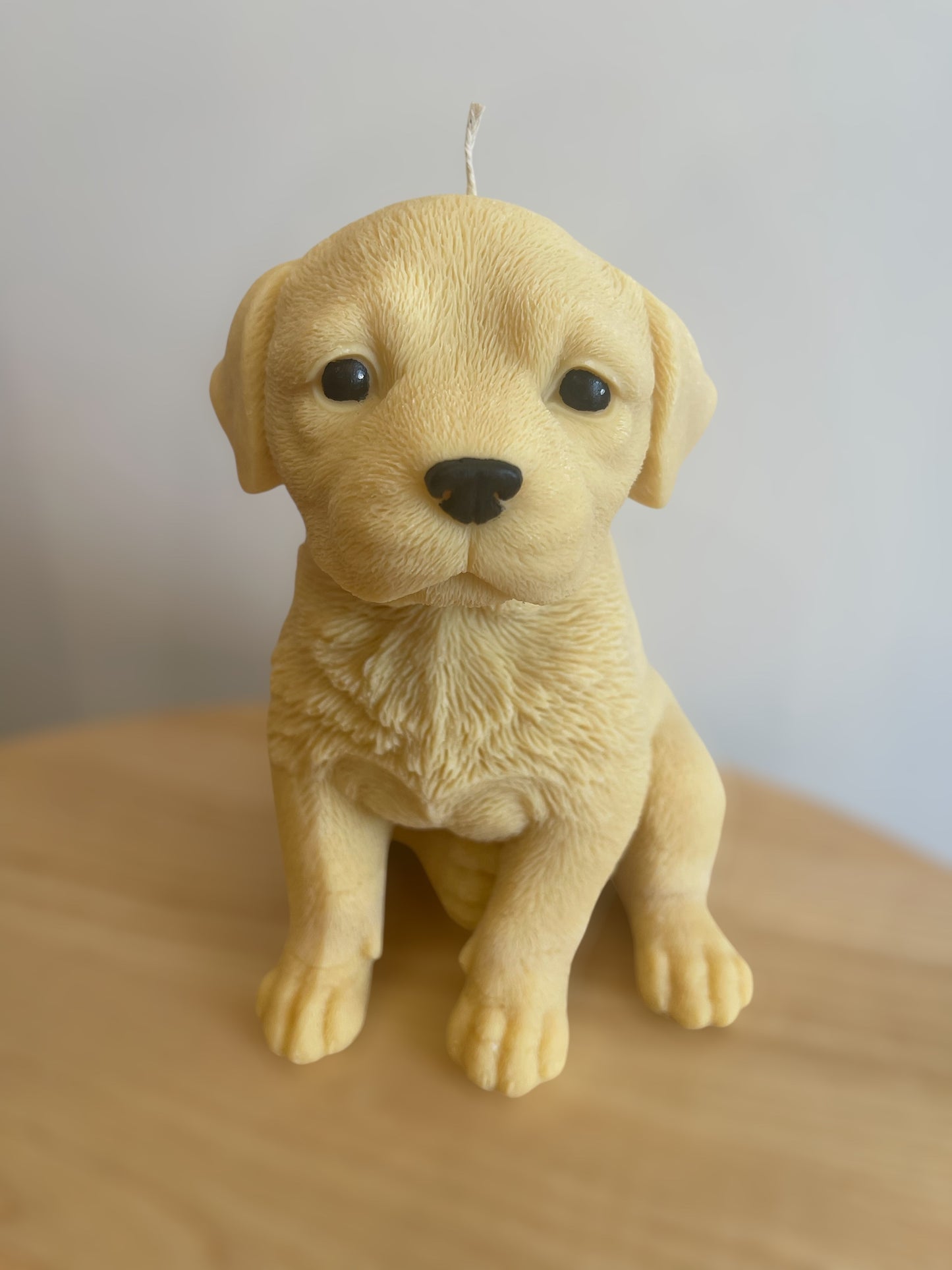 Labrador Candle