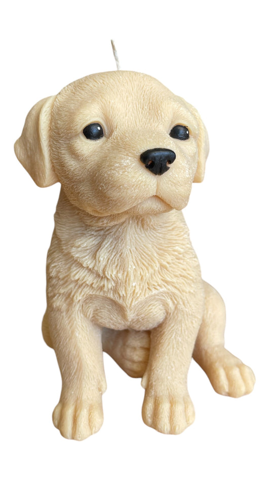 Labrador Candle
