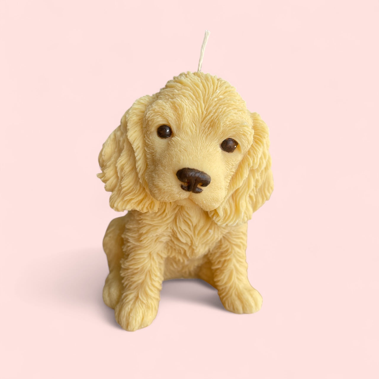 Cocker Spaniel Puppy Candle