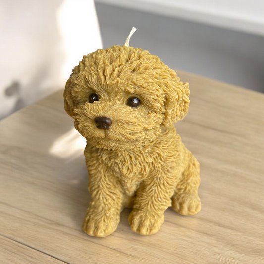 Cavoodle Puppy Candle