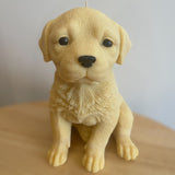 Labrador Candle
