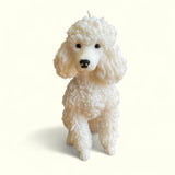 Poodle Dog Candle